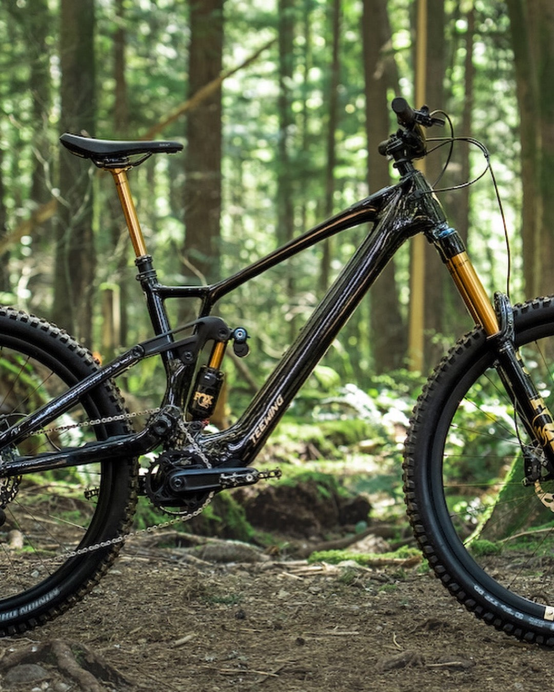 Pinkbike - Initial Review of Teewing Flux One Pro - Enduro eMTB