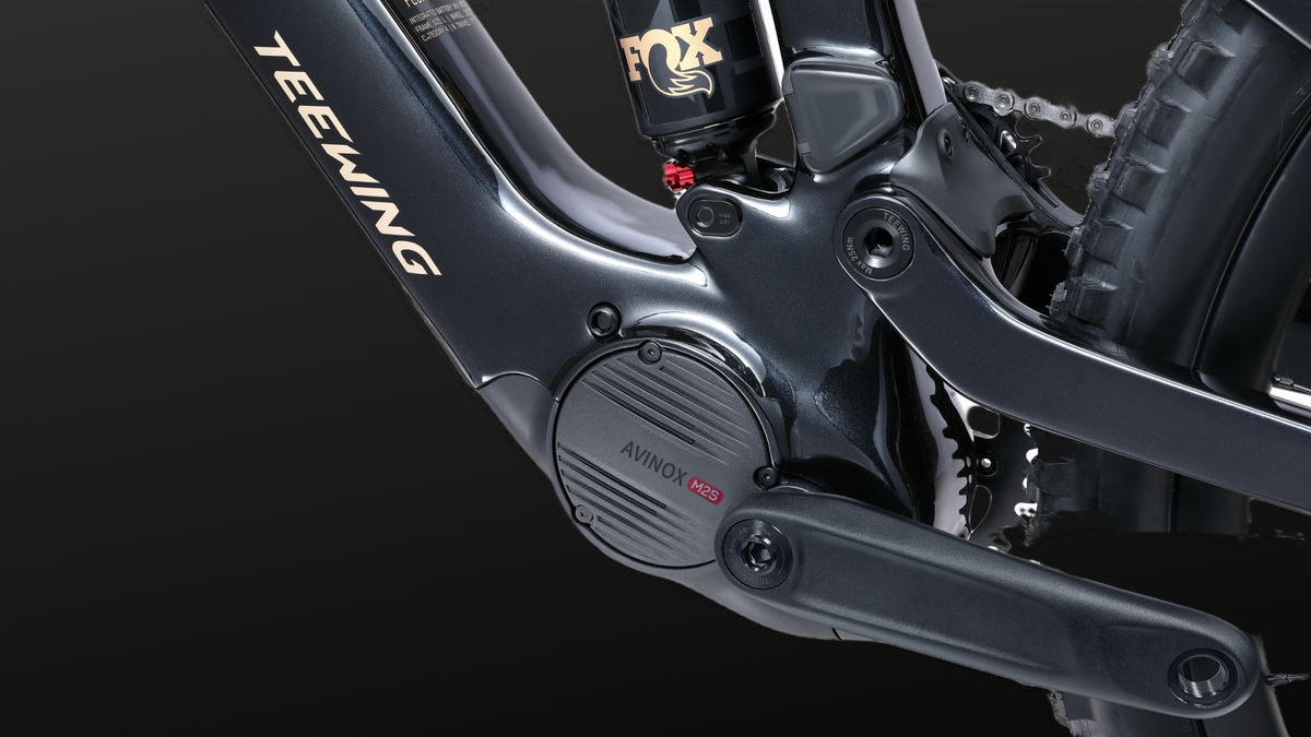 Teewing Bikes Canada – Teewing Canada