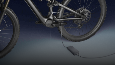 Teewing Bikes Canada – Teewing Canada